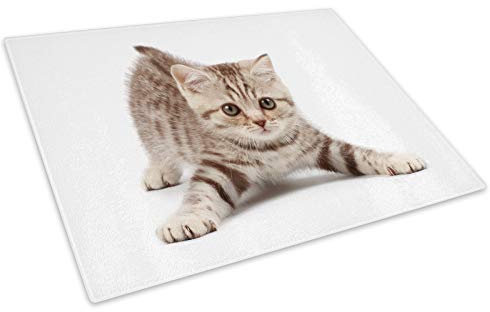 Brown Kitten Cat White Glass Chopping Board Kitchen Worktop Saver Protector