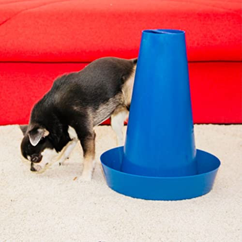 PIPPI Cono WC Vasino Toilette Lettiera Traversine Tappetini Colonna Orinatoio Pisciatoio per Cani Maschi - Accessori Nuova Generazione BLU
