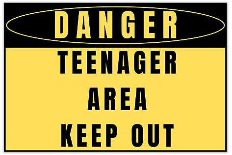 Vorsicht Teenager Schild 30x20cm - Witziges Türschild, für jeden Anlass - für Jugendweihe & Geburtstag - Made in Germany (Danger! Teenager Area! Keep out)