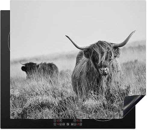 KitchenYeah© Induction Hob Protector Mat 20.1x23.2 / 59x51 cm Cooker Top Protectors Cover Ceramic Covers Electric Hobs Vinyl Scottish Highlander - Cow - Grey - Horns - Coat - Nature