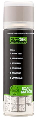 AutoTek Professional Exact Match Car Spray Paint, Ford Polar Grey Aerosol Spray, 300 ml