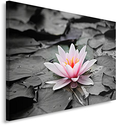Feeby. Wandbild - 1 Teilig - 70x100 cm, Leinwand Bild Leinwandbilder Bilder Wandbilder Kunstdruck, LOTOSBLÜTE, NATUR, ROSA, SCHWARZ-WEIß