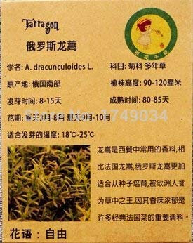 Potseed Tasso di germinazione del 99% Semi di dragoncello, dragoncello Russo, Vaniglia spezie Circa 25 Particelle