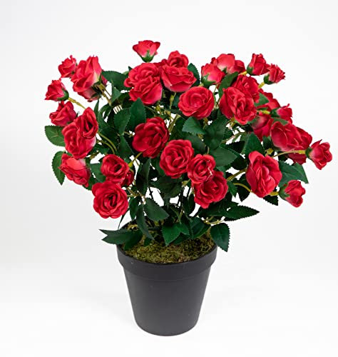 Seidenblumen Roß Rosenbusch 30cm rot im Topf ZF Kunstpflanzen Kunstblumen künstliche Blumen Rosenstrauch Rosen