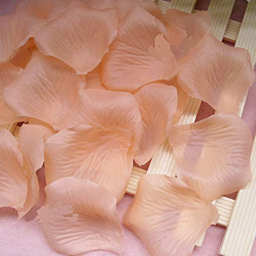CHSYOO 1000 x Artificial Roses Petal Flowers Confetti, Decorations for Wedding Birthday Bridal Shower Valentines Marriage Proposal, Champagne
