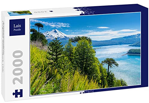 Lais Puzzle Forêt d'araucarias dans Le Parc National de Conguillio, Chili 2000 pièces