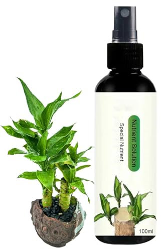 Brazilian Fertilizer, Lucky Wood Houseplant, Growth Booster Solution, Fertilizer Nutrient Easy-Use, Liquid Feed For Indoor Plants, Flowers, Bedroom, Living Room, Balcony, (500ml)