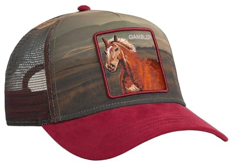 Goorin Bros. Trucker Cap Stallion In The Element Crush