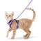 rabbitgoo Katzengeschirr mit Leine Softgeschirr für Katze Brustgeschirr Cat Harness Katzengarnitur ausbruchsicher verstellbar Katzenweste Hell Lila XS