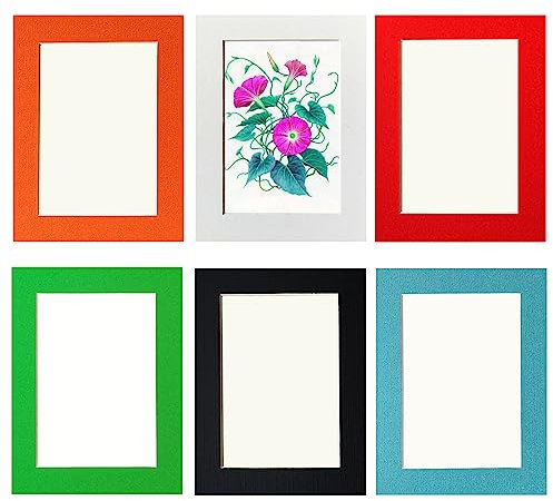 6er Bilderrahmen Set 13x18 cm,Pappe Bilder Rahmen mit Schutz Kunststoffmembran,Wandmontage Bildrahmen,Verwenden Sie den Mitgelieferten Acrylkleber zur Befestigung,Bilderramen 18x13 cm,Mehrfarbig