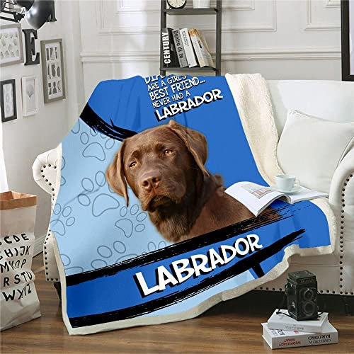 ZZXHG Kuscheldecke Flauschig Baby Blauer Labrador, Weiche Flanell Fleecedecke Plüsch Decke für Kinder Haustier, Warm Sofadecke Wohndecke Couchdecke Wolldecke Tagesdecke - 75x100 cm