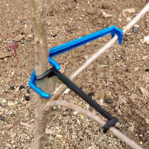 Lot de 20 outils de gestion d'arbres fruitiers robustes