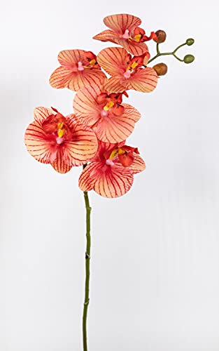 Orchideenzweig Real Touch 70cm orange-Peach CG Kunstblumen künstliche Orchidee Blumen Seidenblumen