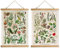 2 Stück Vintage Pflanzen Poster mit Holzrahmen, Cottagecore Raumdekoration, ästhetisch, Retro-Stil, Wanddekoration, Kunstmalerei, Muster sind auf Leinen gedruckt, ohne zu verblassen (40 x 58 cm)