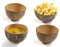 BATANIA 20 x Kokosnuss-Geschirr | umweltfreundliche Kokos-Schale | Runde Schälchen aus echter Kokosnuss (Schälchen | ca. B Ø 80-130 x H 60-90 mm | ca. 200 ml)