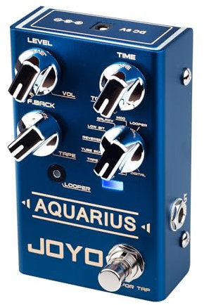JOYO Digital Delay Effect Pedal with Looper (5 Minutes) R Series 8 Digital Delay Effects for Electric Guitar (Aquarius R-07)