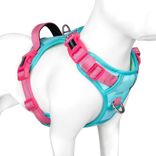 PHOEPET No Pull Hundegeschirr, reflektierende Hundeweste, mit weichem Trainingsgriff für kleine, mittelgroße und große Hunde (Mintgrüne Basis und Rosa Träger, S)