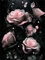 fghgbf Schwarze rosa Rose 5D Diamond Painting Set Diamond Painting Bastelset Square Drill für Erwachsene Diamant Malerei für Wohnzimmer und Schlafzimmer Wanddeko 20x50cm
