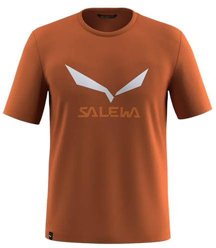 Salewa Solidlogo Dry T-Shirt M, Bombay Brown, M