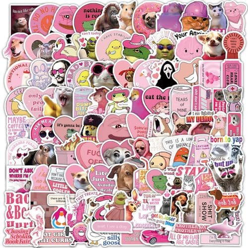 105Pcs Pinkes Meme Sticker-Set für Laptop, Koffer, Scrapbooking, Skateboard, Gitarre, Wasserflasche–Geschenkaufkleber für Teenager, Kinder und Mädchen