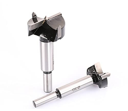 Alloy Forstner - Broca para madera (22 mm, diámetro de 22 mm)