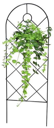 Klettergitterregal - Rankgitter Eisen 58 cm | Pflanzengitter Für Rosen