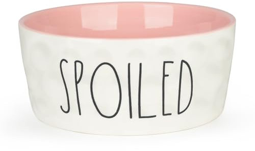 WoofinPets Cuenco de cerámica para perros de 27 onzas, cuenco extra grande de 6 pulgadas, plato antideslizante resistente para perros medianos, cuenco de porcelana de grado alimenticio, apto para