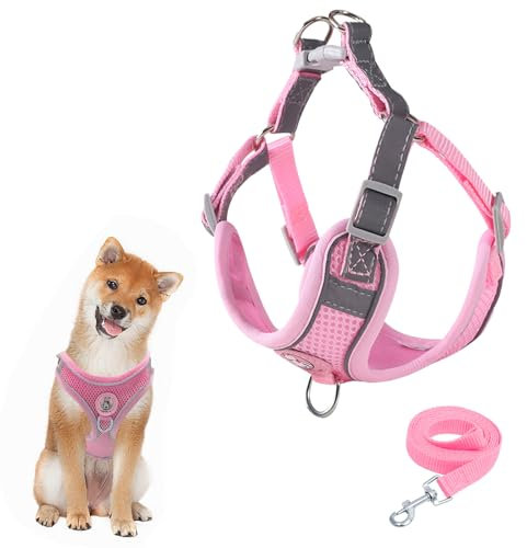 Hundegeschirr mit Hundeleine Set, Air-Mesh Atmungsaktiv Brustgeschirr für Kleine, Mittelgroße Hunde & Welpen, Weich Gepolstert Einstellbar Reflektierend Geschirr (Rosa, S)