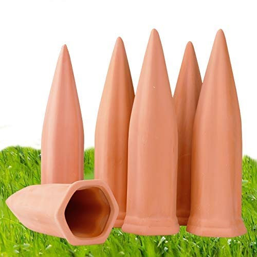 Plante d'arrosage appareils Lot de 6 Vacances en terre cuite Plante pour bouteille de vin d'arrosage Piquets pour plantes d'arrosage à libération lente Parfait appareils d'arrosage automatique pour