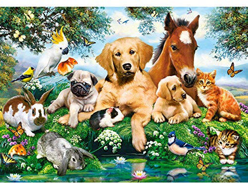 Castorland B-53230 B-53230-Summer Pals Puzzle 500 Teile, Bunt, 35 x 25 x 5 cm