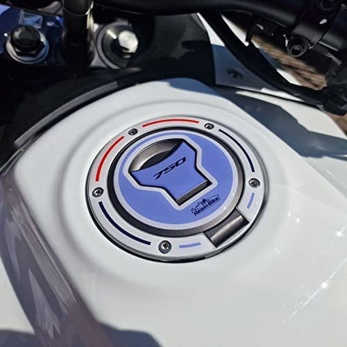 Resin Bike Adesivi Moto Compatibile con Honda Transalp XL 750 2023-2025 Protezione Moto Tappo Serbatoio da Urti e Graffi. Adesivi 3D Resinati