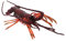 GLSTOY Simulierte Hummer Ornamente Tierisches Kognitives Spielzeug Künstliches Hummer Modell Dekoratives Tiermodell Lebensechtes Hummer Modell Tiermodell Hummer Spielzeug