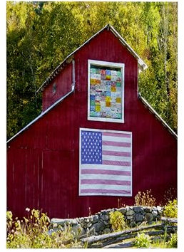 TWL_212580_1 Handtuch, 3D-Rosenmotiv, mit USA-Flagge und Nummernschilder, 38,1 x 55,9 cm, Mehrfarbig