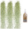 Tillandsien Pflanzen Echt im Mix - Tillandsien hängend 50cm Tillandsia Usneoides Luftpflanzen, Terrarium Pflanzen, Spanisches Moos, Louisianamoos (3x Tillandsia Usneoides & Spray)