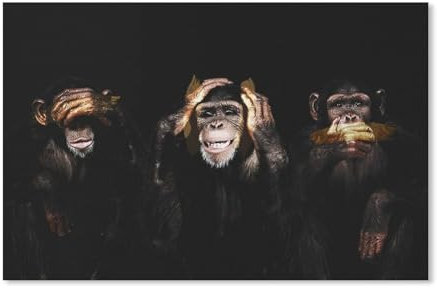 Erwachsene Kinder Puzzles 1000 Teile Puzzle，DREI lustige Affen，einfaches Puzzle Spiel Rolle Puzzle Bildung Spielzeug Spiel Familie Dekoration(75x50cm-E76