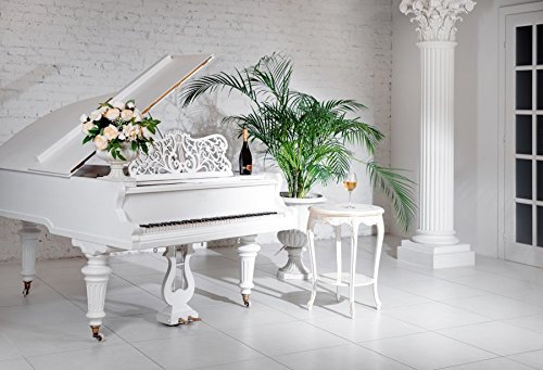 Laeacco Interieur-Hintergrund, 3 x 2 m, luxuriös, klassischer Stil, mit Weinpellen, Blumen, Hintergründe, Hochzeit, Party, Feier, Liebhaber, Erwachsene, Fotokarton, künstlerische Studio-Requisiten
