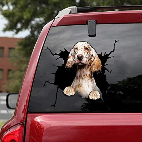 Ocean Gift Irish Setter Auto Decals, Hund Auto Aufkleber 2 Stück - Realistische Irish Setter Aufkleber für Autofenster, Wände Serie 49 Größe 30,5 cm x 30,5 cm