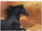 ABAKUHAUS Pferde Puzzle, Galloping Friese, Heirloom-Qualität lustige Aktivität für die Familie langlebiger Karton, 1000 Stücke, schwarz orange