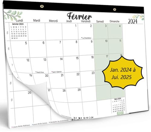 Großer Wandkalender 2024 2025 (18 Monate), 43 x 30 cm, Familienkalender Jan. 2024 – Juni 2025, Adventskalender, Organizer, Planer, Büro und Haus, Monatsplaner