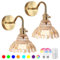 Vintage Battery Operated Wall Lights,Rechargeable Wall Lights with Dimmable Detachable Charging Bulbs and Remote,Wireless Wall Light with Amber Glass Lampshade for Living Room Bedroom Hallway