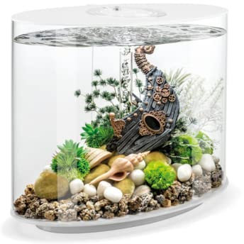 biOrb 86470 Loop 30 MCR weiß - Acryl-Aquarium mit MCR-Lichteinheit, Komplettset in außergewöhnlicher Form