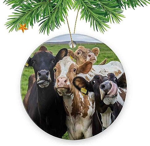 Weihnachtsbaumschmuck zum Sammeln, 7,6 cm, Pedent, neugierige Kühe, für Familie