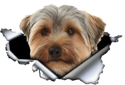 Autoaufkleber Yorkshire Terrier Aufkleber 15cm(5.9 Inch) Yorkshire Terrier Car Sticker 3D Zerrissen Autoaufkleber Wasserdichte Haustier Hund Reflektierende Aufkleber Yorkshire Terrier Lustig Dekor