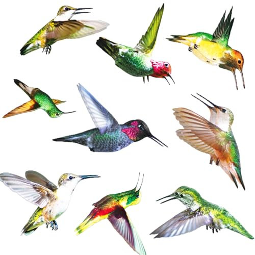 Adesivi per Vetro Uccelli Anticollisione Confezione da 9 Adesivi per Vetri Adesivo Anticollisione Protezione Uccelli Fronte Retro Autoadesivi Adesivi Zanzariere Anticollisione Colorata