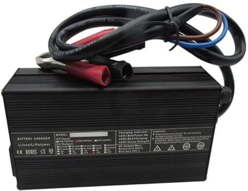 LiFePO4 Battery Charger, 3.65V 20A Fast Charging for 3.2V-3.3V Lithium Iron Phosphate Cells, Black, Compatible with Solar, RV, UPS Systems