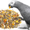 PARROT ESSENTIALS Premium African Grey Parrot Food - 2KG Bag – Parrot Seed Mix – Healthy & Natural Parrot Food for African Grey Parrots With Dried Vegetables