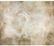 decomonkey Fototapete Blumen 350x256 cm Tapete Fototapeten Vlies Tapeten Vliestapete Wandtapete moderne Wand Wandbild Schlafzimmer Wohnzimmer Rose Vinatage Sepia Beige Braun Natur Blumenmotiv