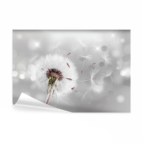 decomonkey Fototapete Pusteblume Natur, 450x315 cm, XL, Blumen Abstrakt | Vlies, Schlafzimmer, Wohnzimmer, Tapete, Fototapeten, Tapeten, Vliestapete, Wandtapete, moderne, Wandbild, Wand