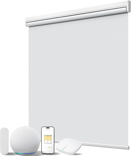 JaeJaes Tendine motorizzate intelligenti con telecomando, oscuranti, motorizzate, per finestre interne, casa e ufficio (bianco, 88,9 cm di larghezza x 182,9 cm di altezza)