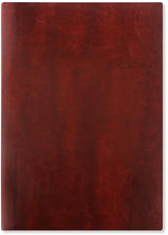 Letts of London Lecassa 26-080420 Terminplaner 2026, A4, Tag pro Seite, Braun